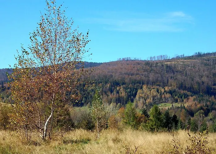 בית אירוח E-lufka *