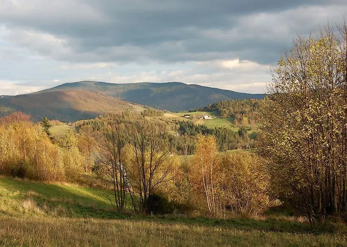 E-lufka * זאבוייה