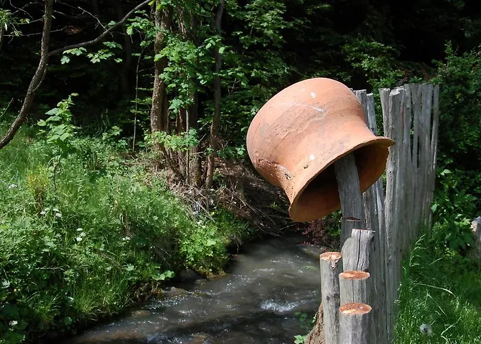 E-lufka בית אירוח